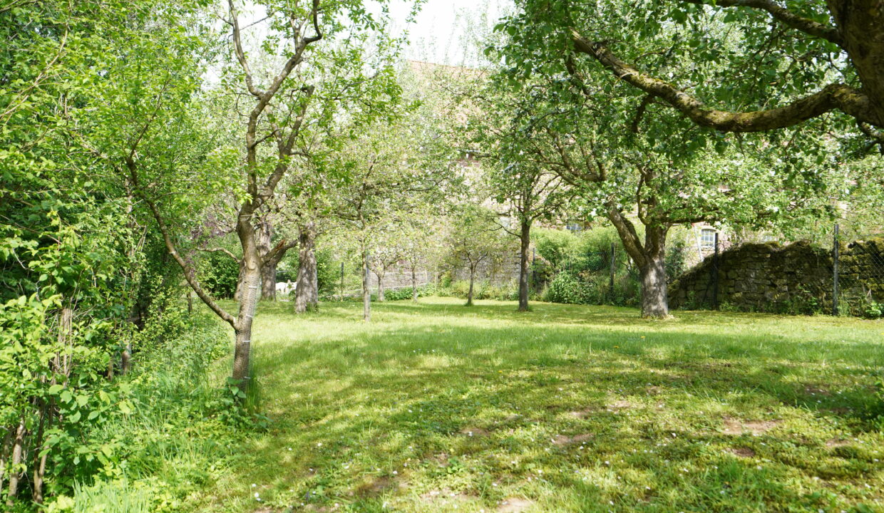 0-DSC07261