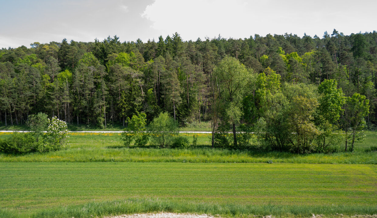 Ausblick_von_Balkon