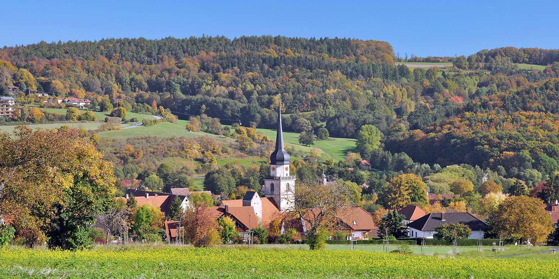 Gemeine Fladungen